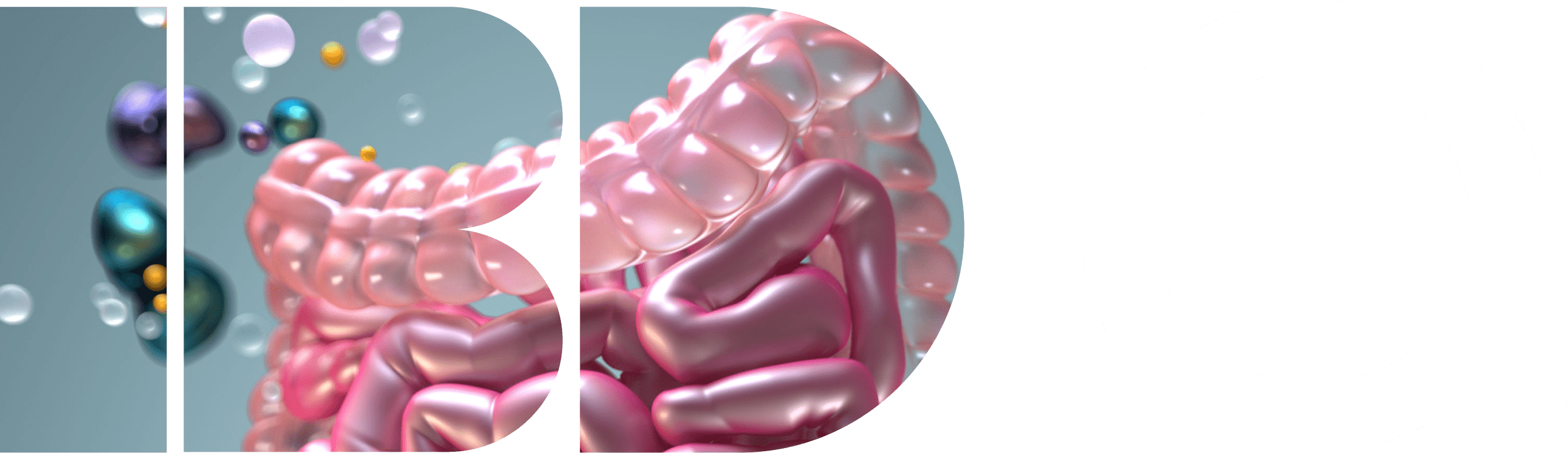 IBDIQ logo.